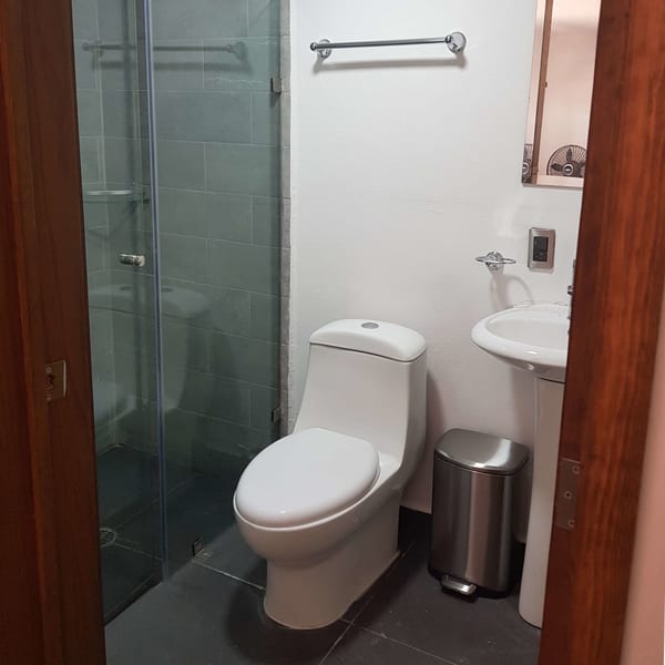 Baño con regadera de cristal, lavabo y muro de azulejo oscuro.